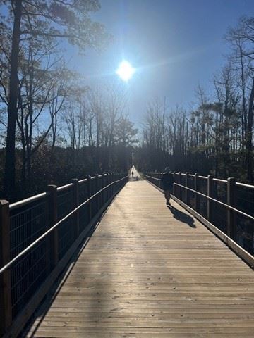 FoxfireBridgeLongshot