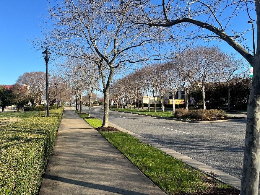 Photo of a concrete path next to a tree-lined, median divided road.