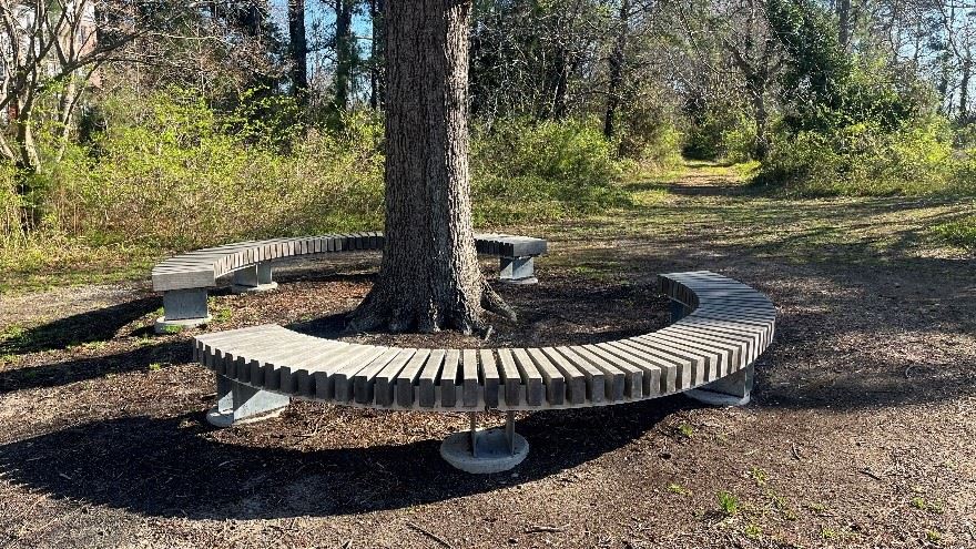 A circular bench wrapped around a tree trunk available for seating along the WaterWalk