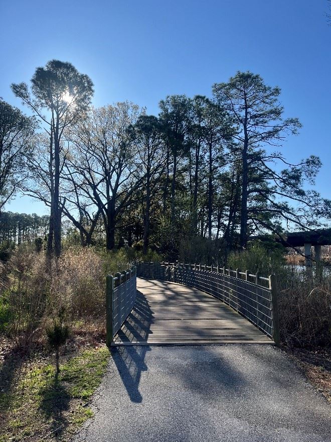 A bridge that spans a wetland/waterway on along WaterWalk.