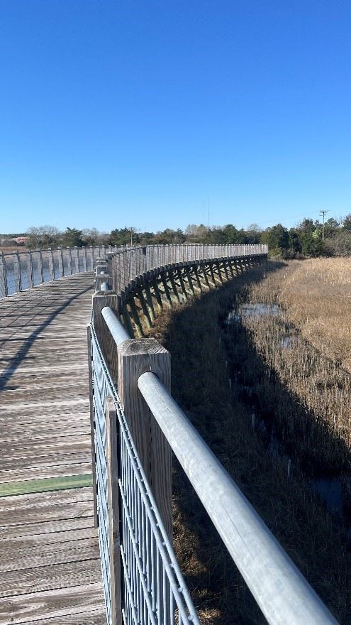 Photo of a long bridge over a wetlands area.