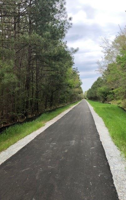 Cross Section of the Seaboard Coastline Trail 
