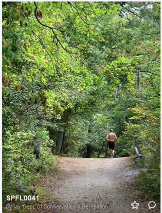 CapeHenryTrailEasternDCR