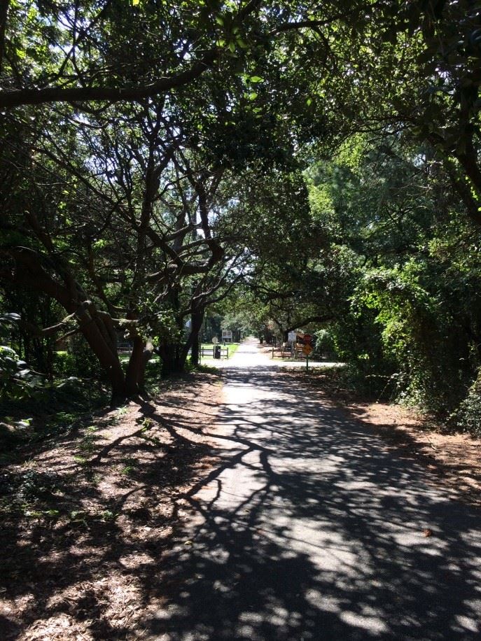 WesternCapeHenryTrailRCase