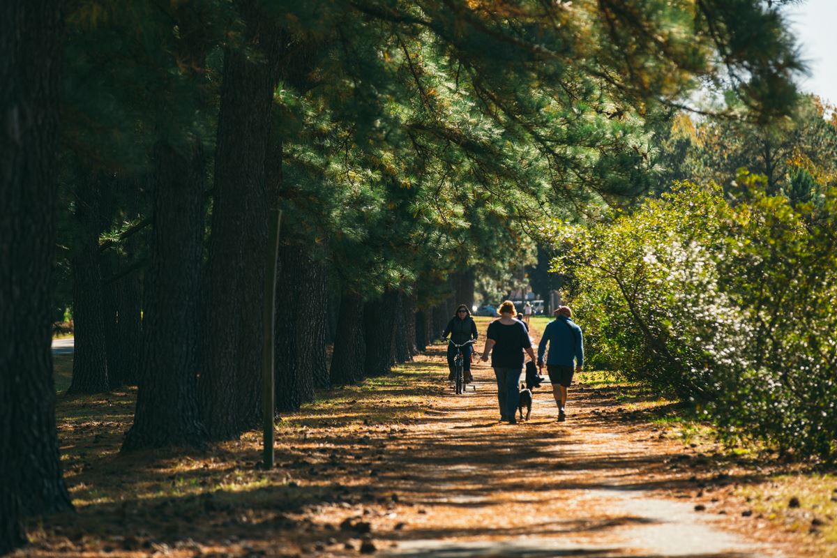 Beautiful Environs of the Elizabeth River Trail west ghent photo