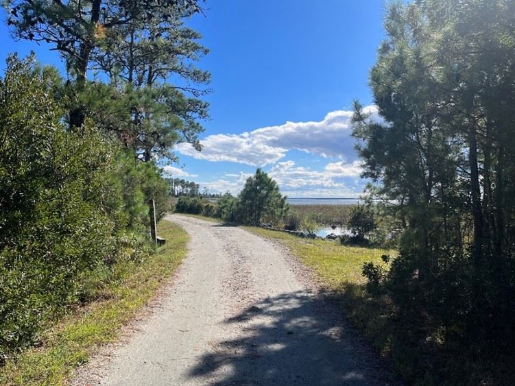 Back Bay along trail between FCSP visitor center and North Carolina 