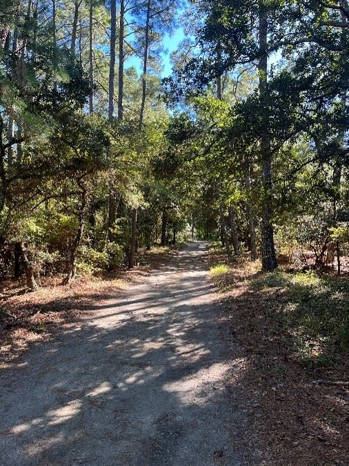 Trail between FCSP visitor center and the beach photo