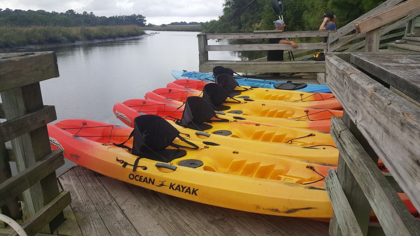 Multiple Kayaks Lined up on a Dock