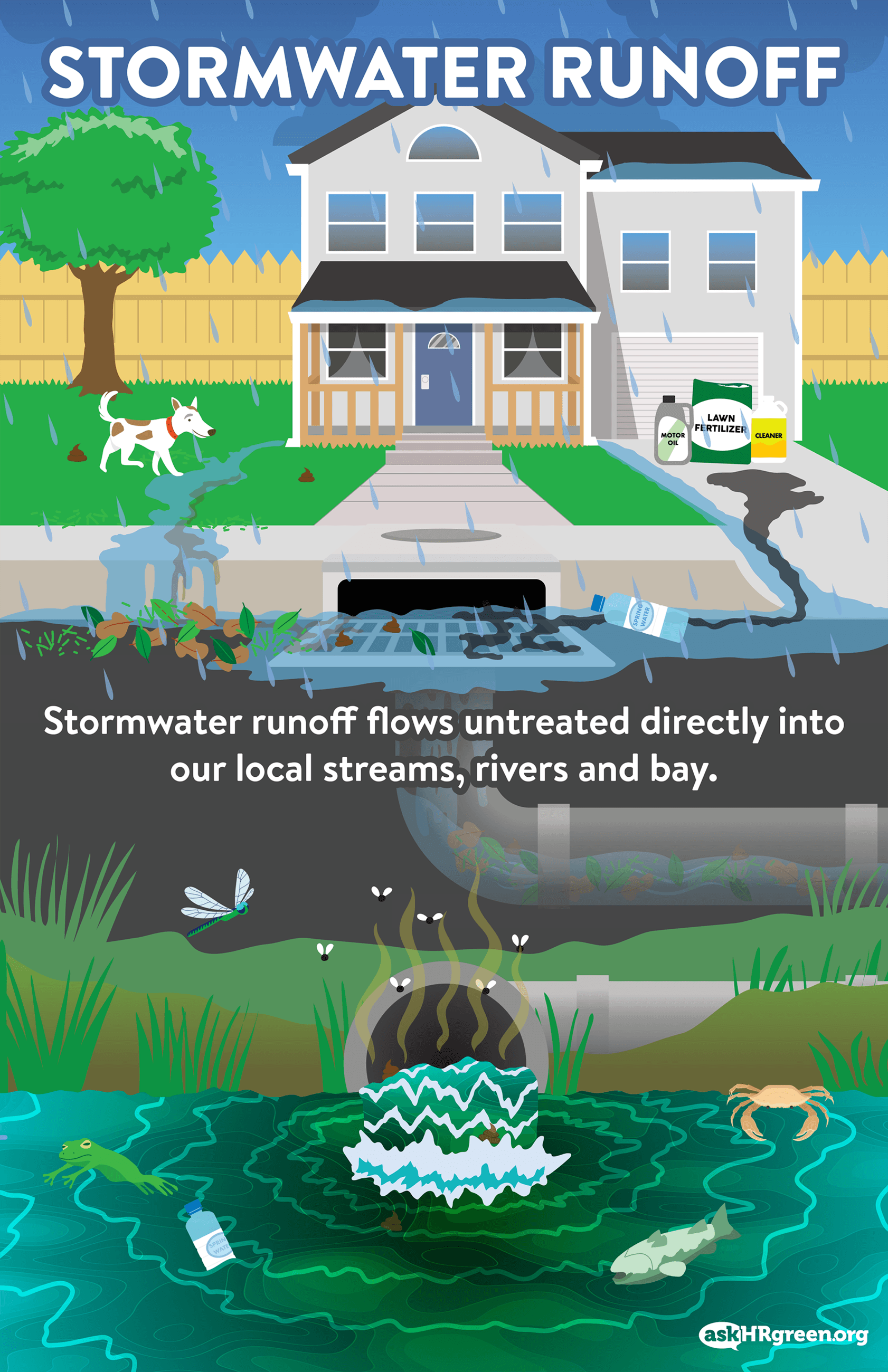 Diagram Showing How Stormwater Runoff Occurs